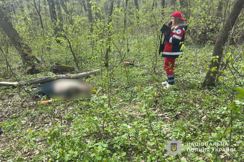 На Тернопільщині під час зрізання дерева загинув молодий чоловік