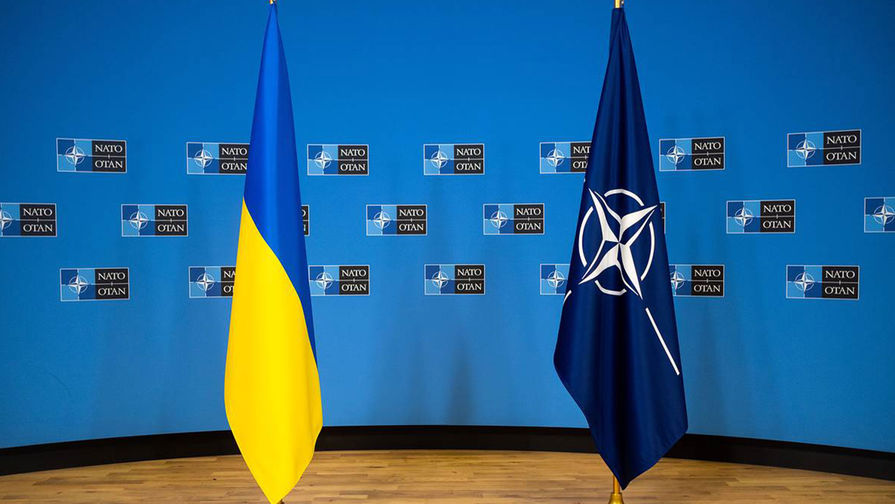 В українські армії впроваджено більше 300 стандартів НАТО