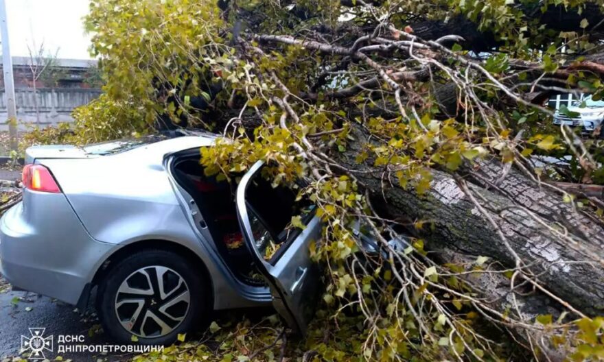 На Дніпропетровщині дерево впало на авто і вбило водія (фото)