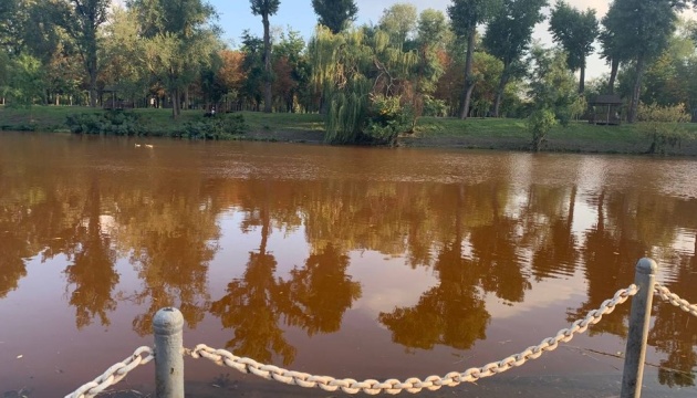 У водоймах Миколаївщини виявили холероподібний вібріон