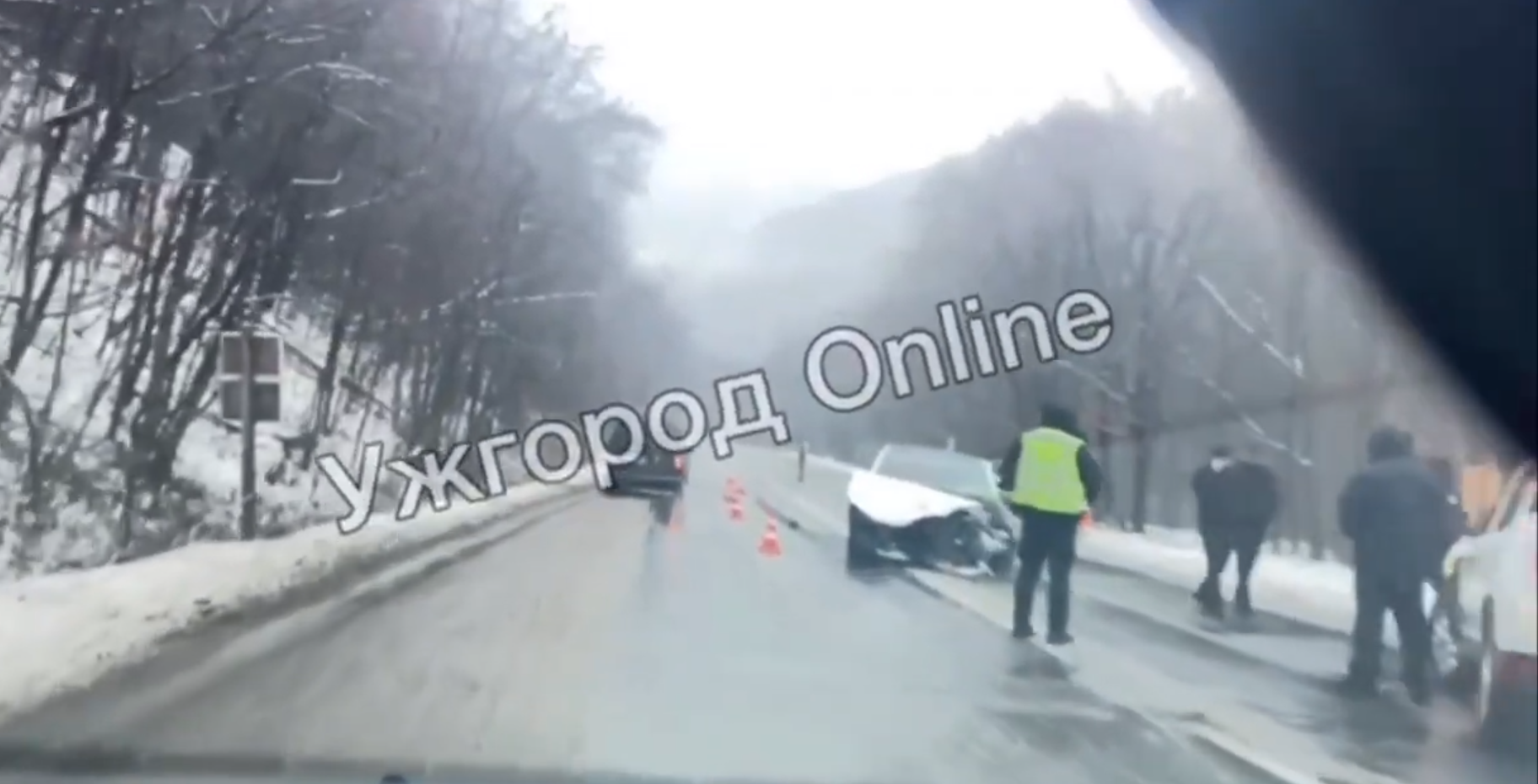 На Закарпатті "поліцейська"  Tesla зіштовхнулась з Nissan. Загинув водій другого авто (відео)