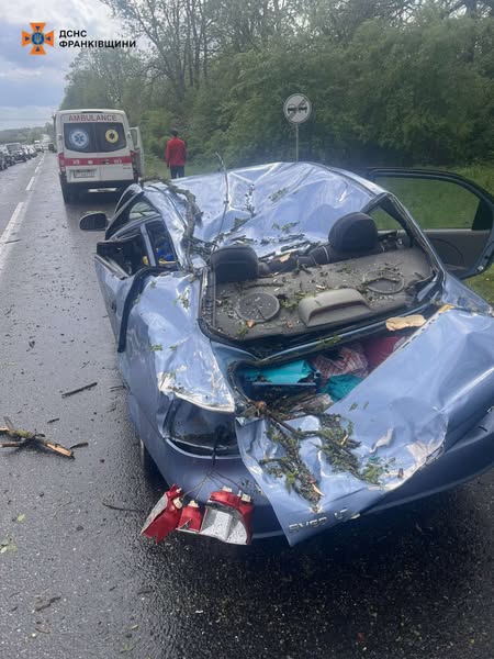 На Прикарпатті через негоду дерево впало на автомобіль: постраждала жінка (фото)