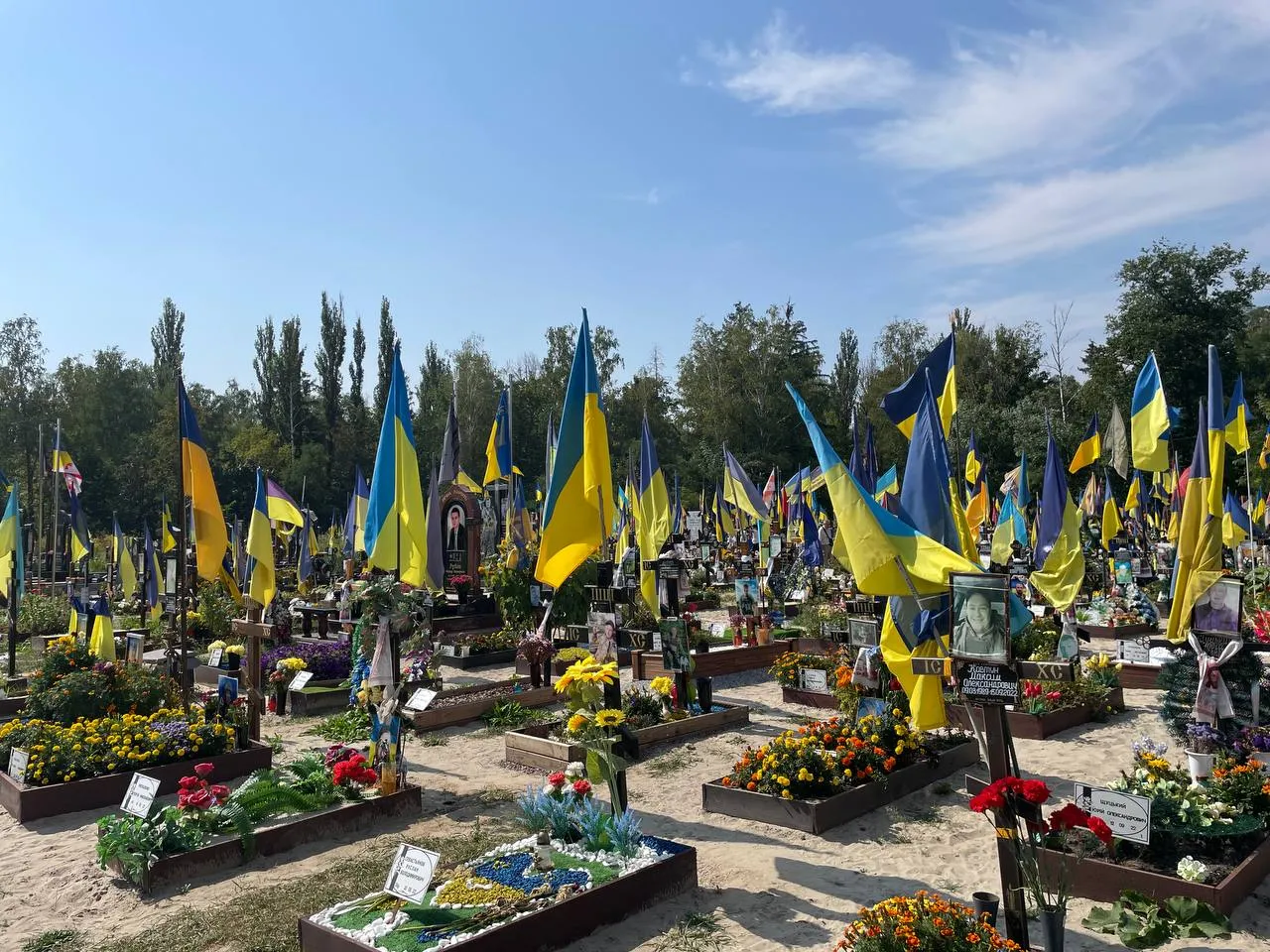 Де ховатимуть Героїв: під Львовом створюють нове військове кладовище