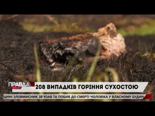 За місяць склали понад 90 протоколів за спалення сухостою