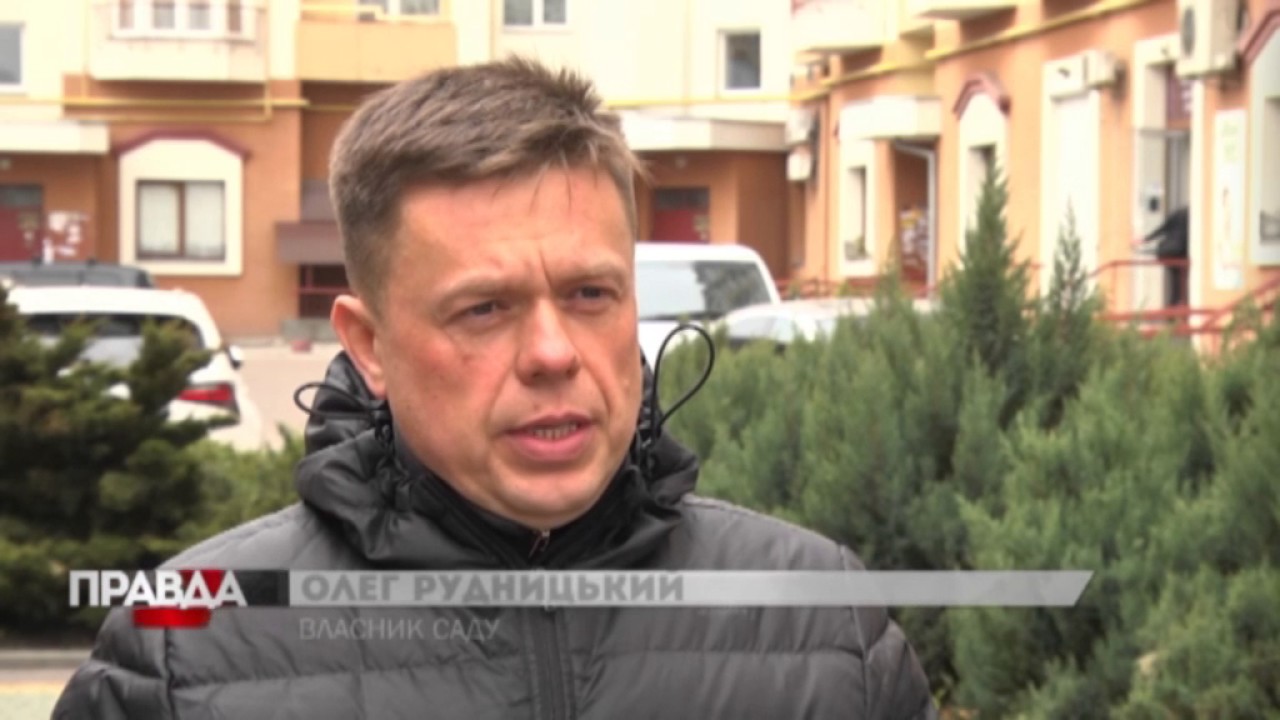 Розповіли, коли українцям чекати тепла