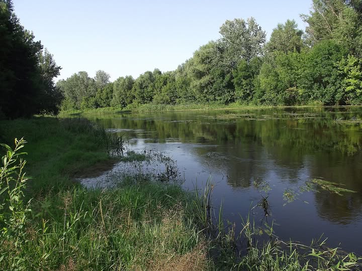 На Львівщині чоловік раптово впав з обриву у річку зі швидкою течією