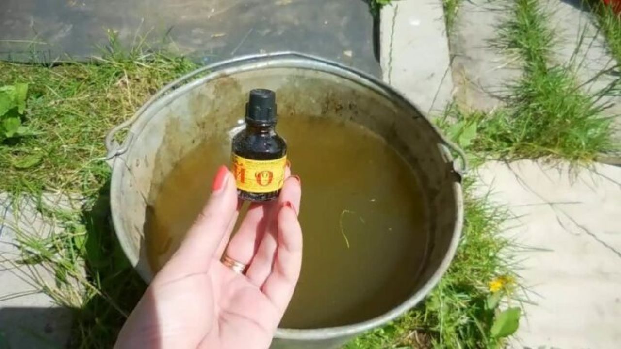 На Львівщині перевірили вміст йоду в питній воді: результати приголомшливі