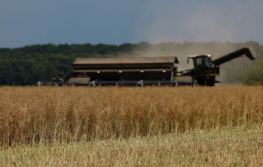 Під впливом польських фермерів ЄС посилить перевірки зерна з України