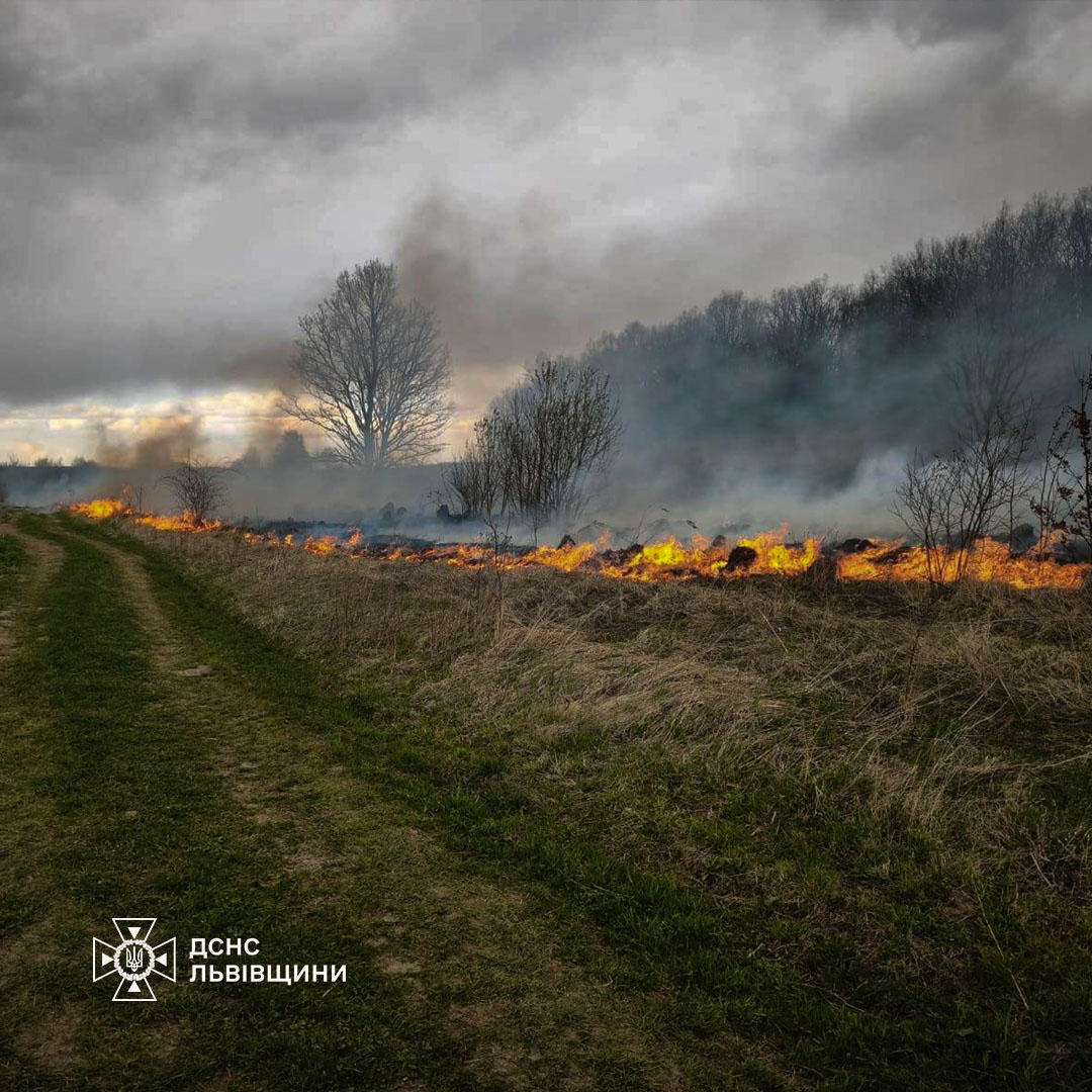 З'явилися фото потужних пожеж на Львівщині