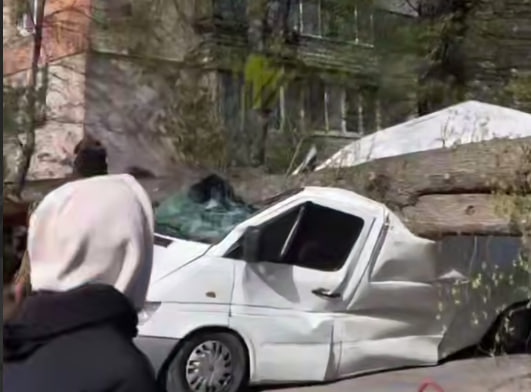 У Вінниці дерево розчавило мікроавтобус: наслідки негоди