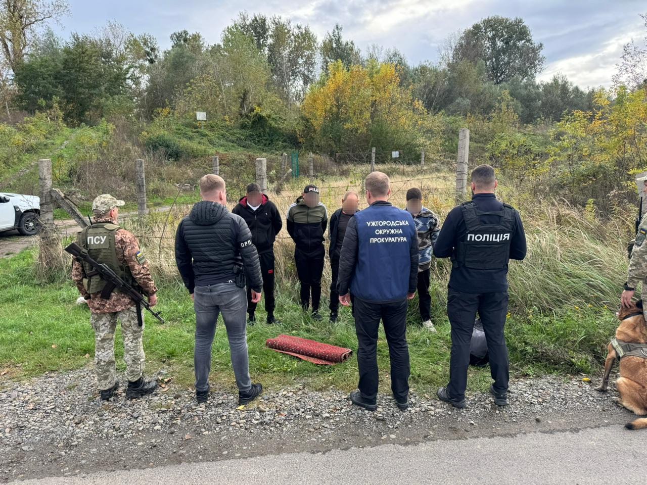 Планували накинути килим на колючий дріт: на Закарпатті затримали ухилянтів