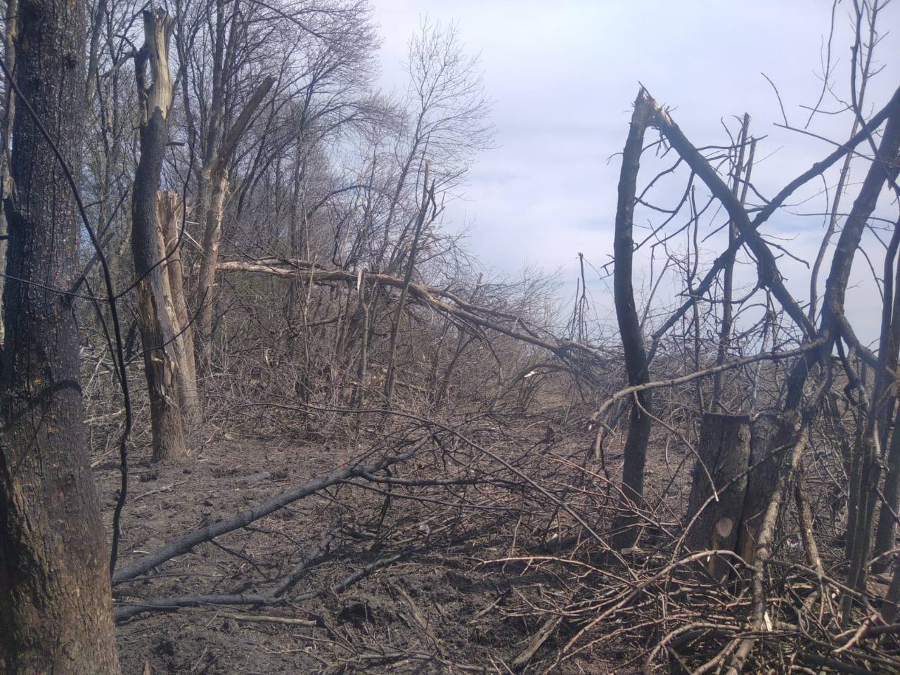 Українські прикордонники зафіксували, що росіяни обстріляли свою ж територію