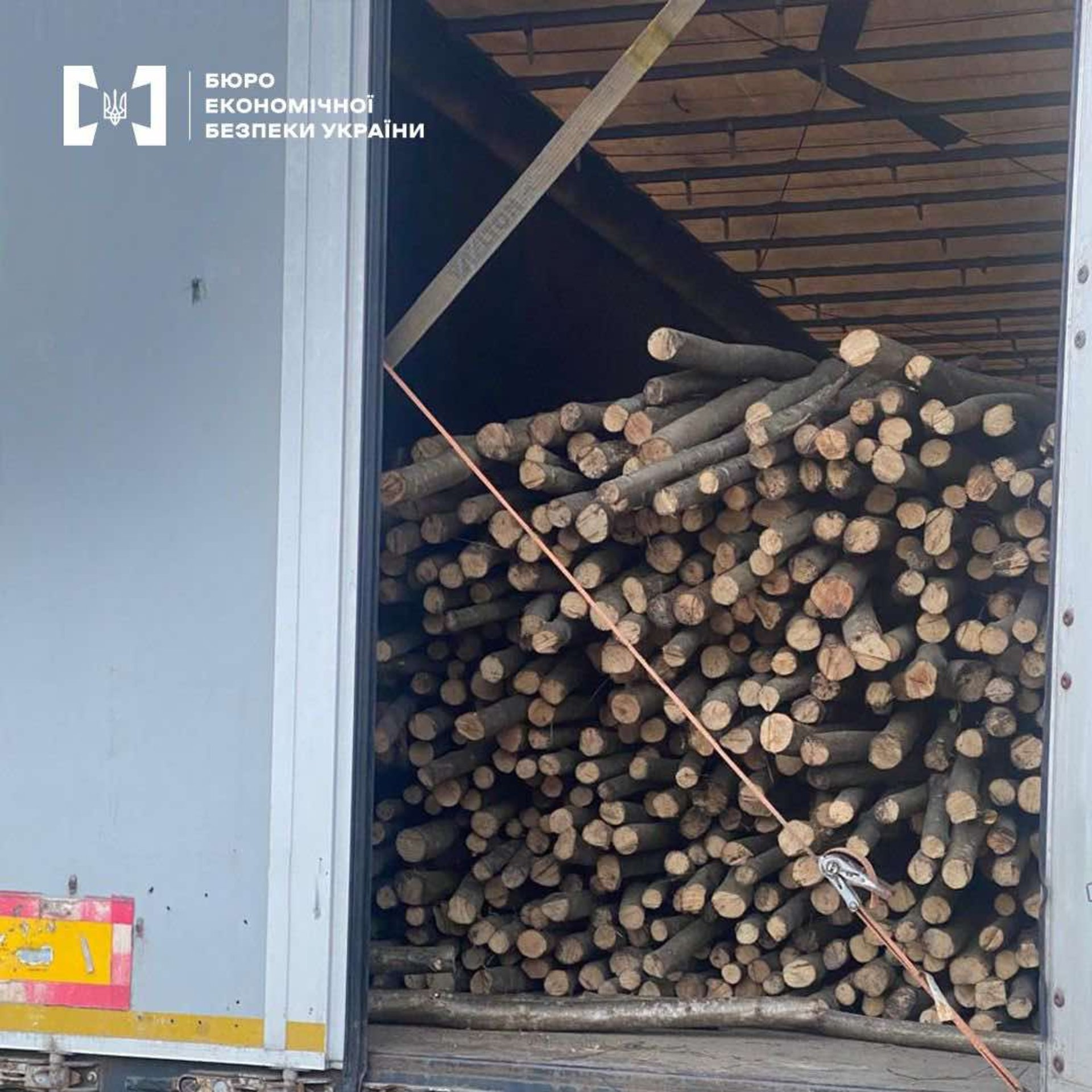 На Львівщині викрили підприємицю, яка незаконно вивозила лісоматеріали за кордон (фото)