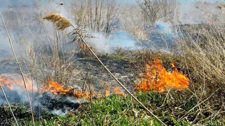 Синоптики попередили львів'ян про високий рівень небезпеки у найближчі дні: що відомо