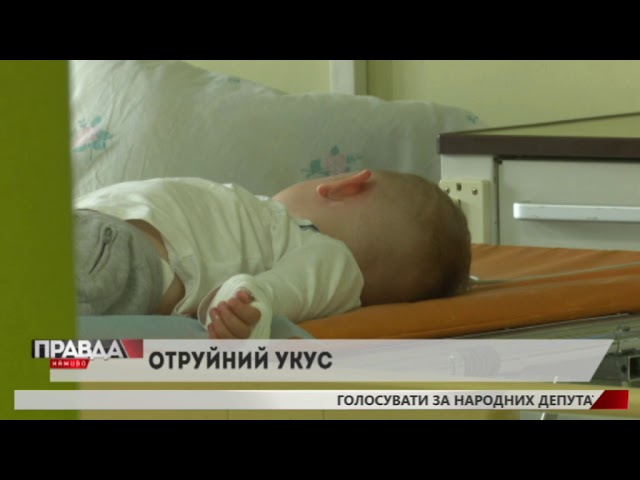 9-річну дівчинку вкусила карпатська гадюка