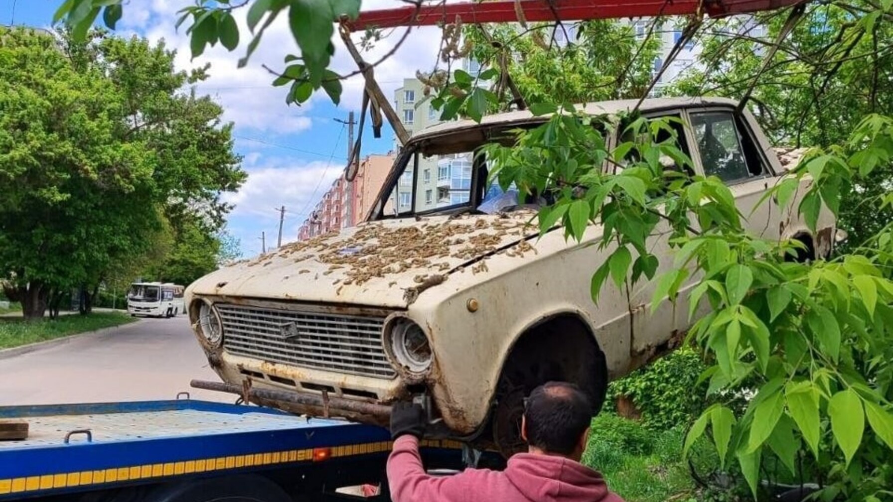 У Львові радикально очистили вулиці від покинутих авто: список адрес