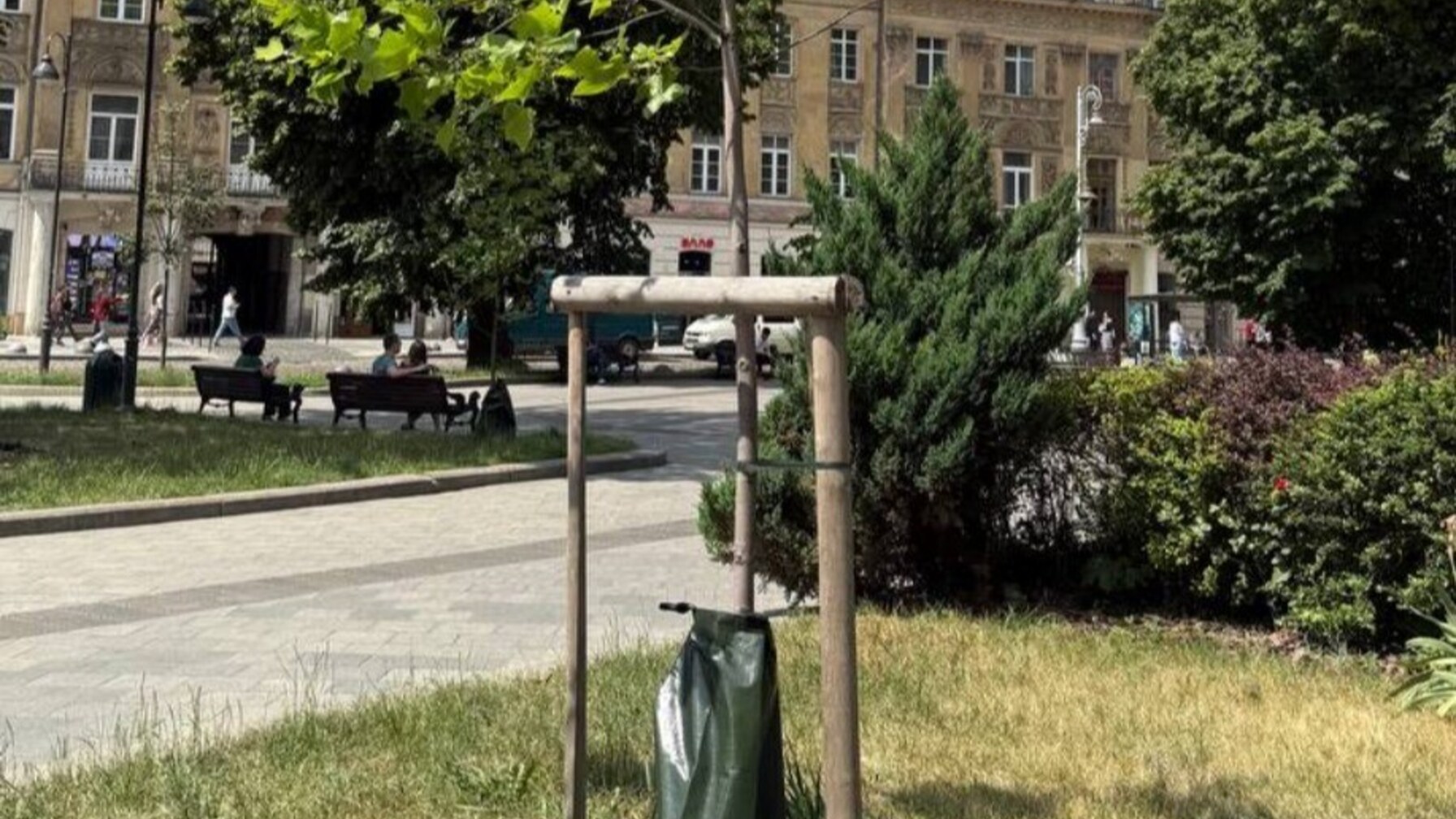 У парках Львова встановили унікальні мішки: яке у них призначення