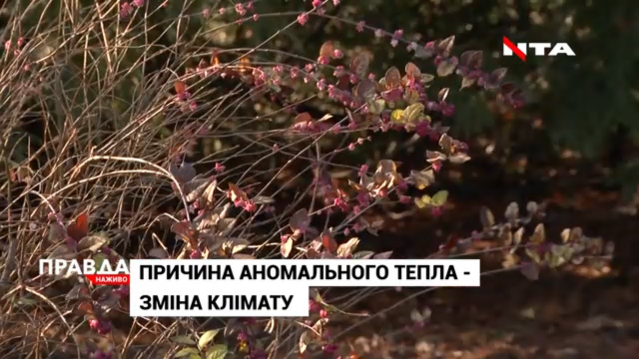 Львів б'є температурні рекорди: про причини аномального тепла