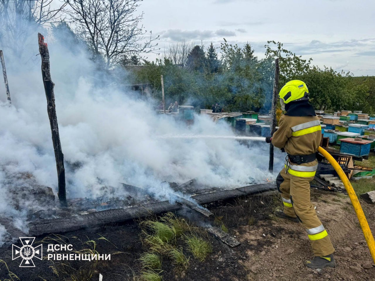 На Рівненщині згоріла пасіка (фото)