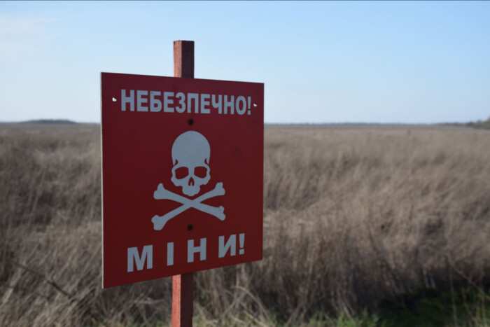 Уряд дозволив ДСНС надавати платні послуги з розмінування