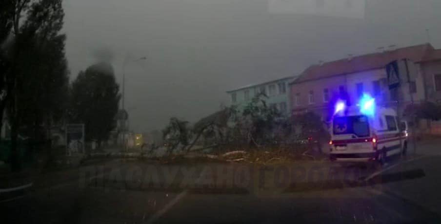 Спекотну сонячну погоду змінив буревій. Наслідки негоди у Львові та області (відео,фото)