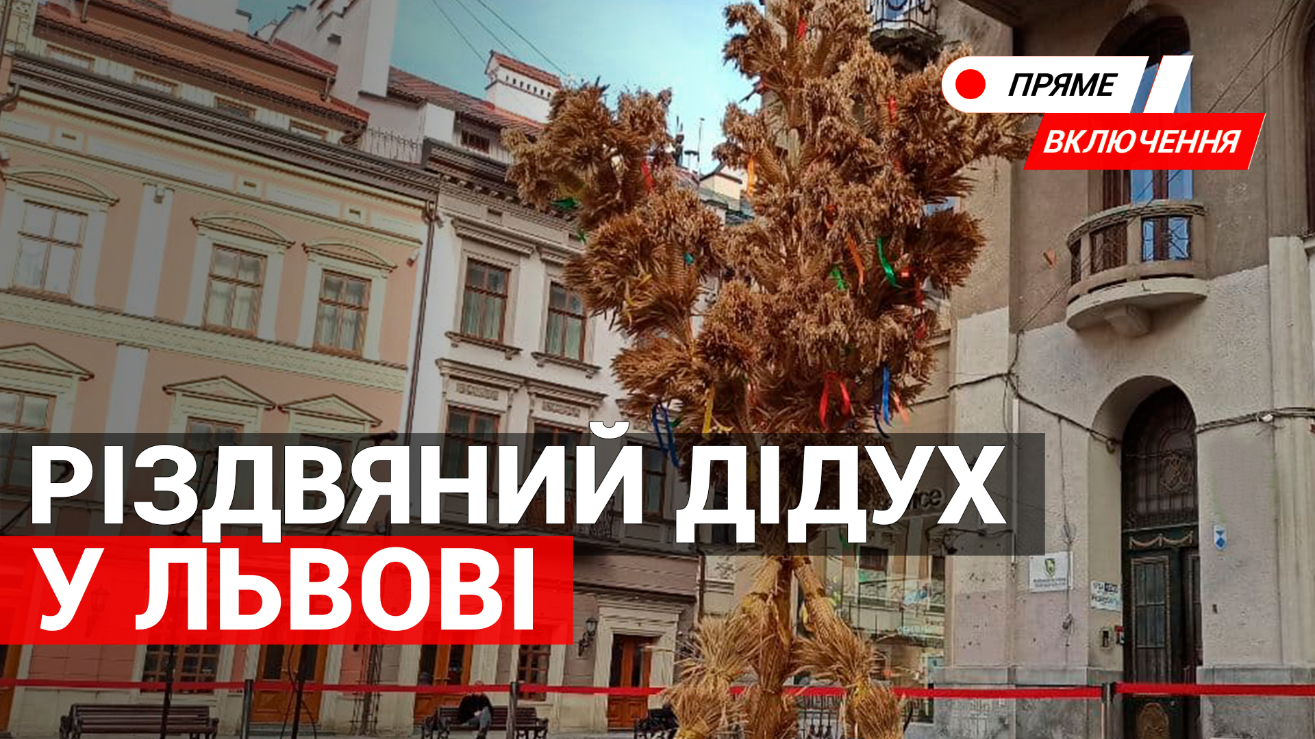 Відкриття Різдвяного Дідуха у Львові. Наживо