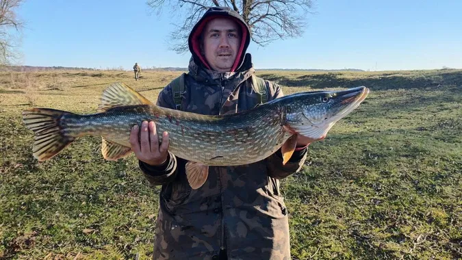 На Рівненщині спіймали рибу-гіганта: яка вага (фото)