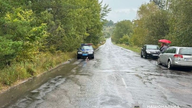 Поліція знайшла водія, який на смерть збив 57-річного пішохода на Львівщині та втік