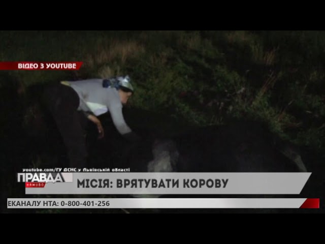 Надзвичайники врятували корову