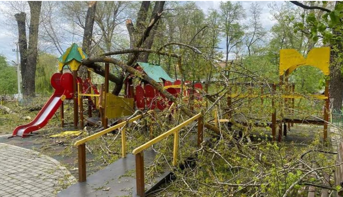 Негода на Буковині: у місті дерево розчавило дитячий майданчик з дітьми