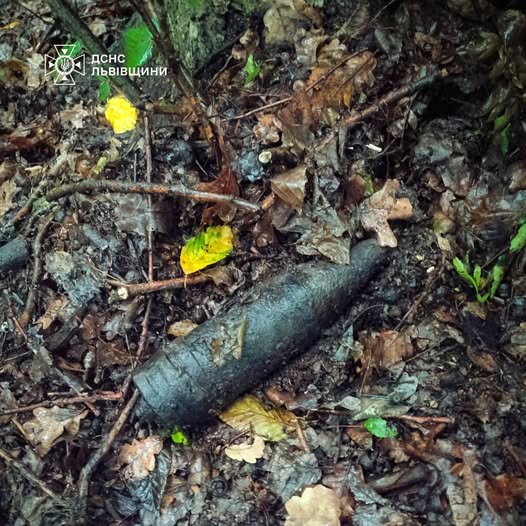 На Львівщині за три кілометри від житлових будинків знайшли застарілий боєприпас (фото)