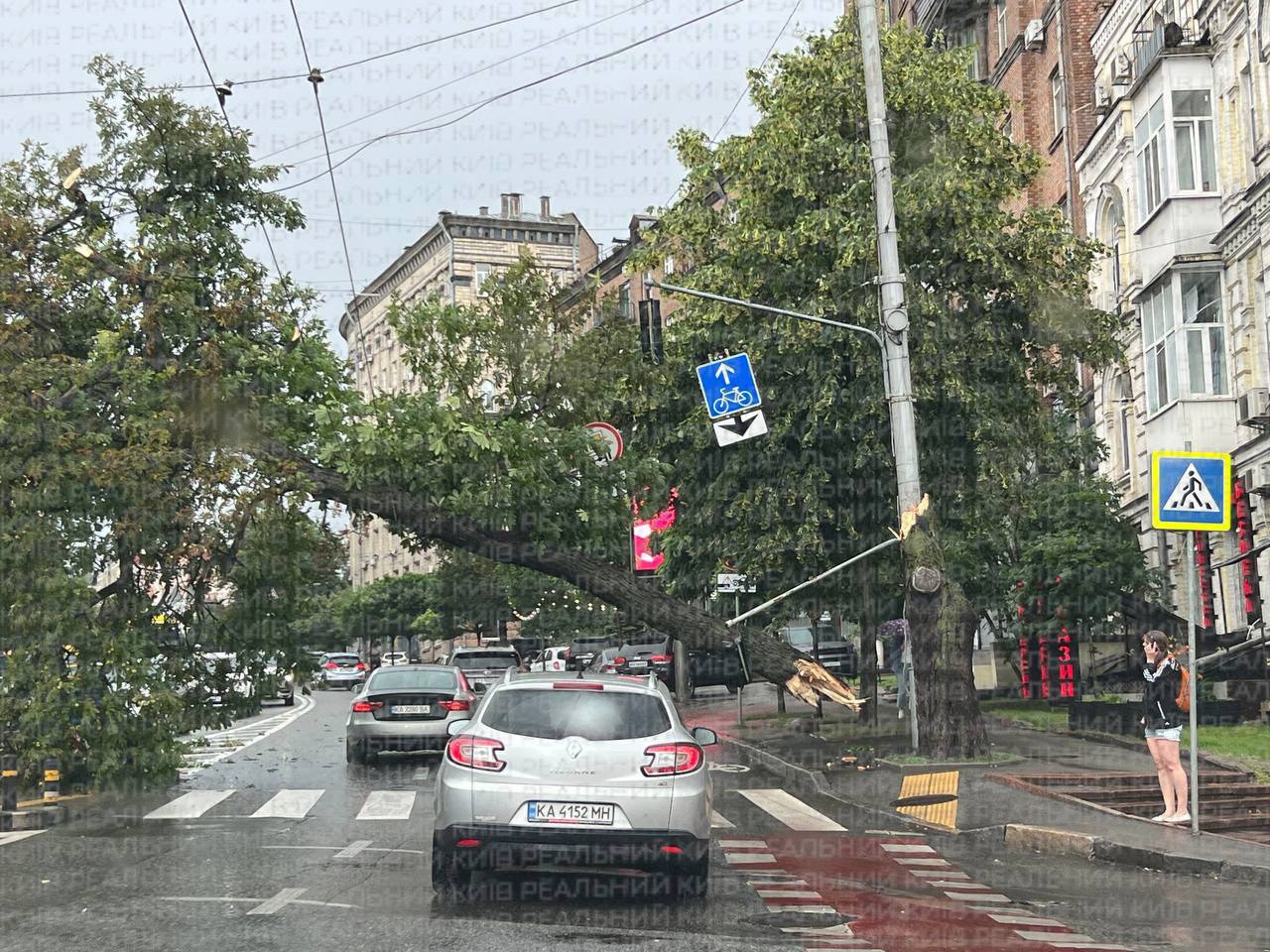 Негода вирує у Києві: мережу наповнили фото і відео, як вітер валить дерева