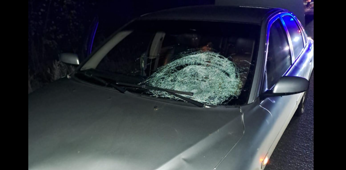 На Київщині дві автівки на смерть збили жінку