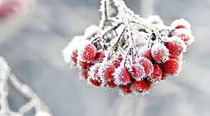 Мороз до -20°C: якої погоди чекати на Львівщині