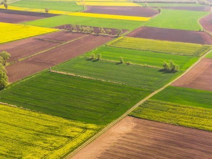 На Львівщині суд конфіскував землі у громадянки РФ