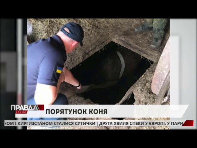 На Жовківщині рятували коня, який провалився у підвал
