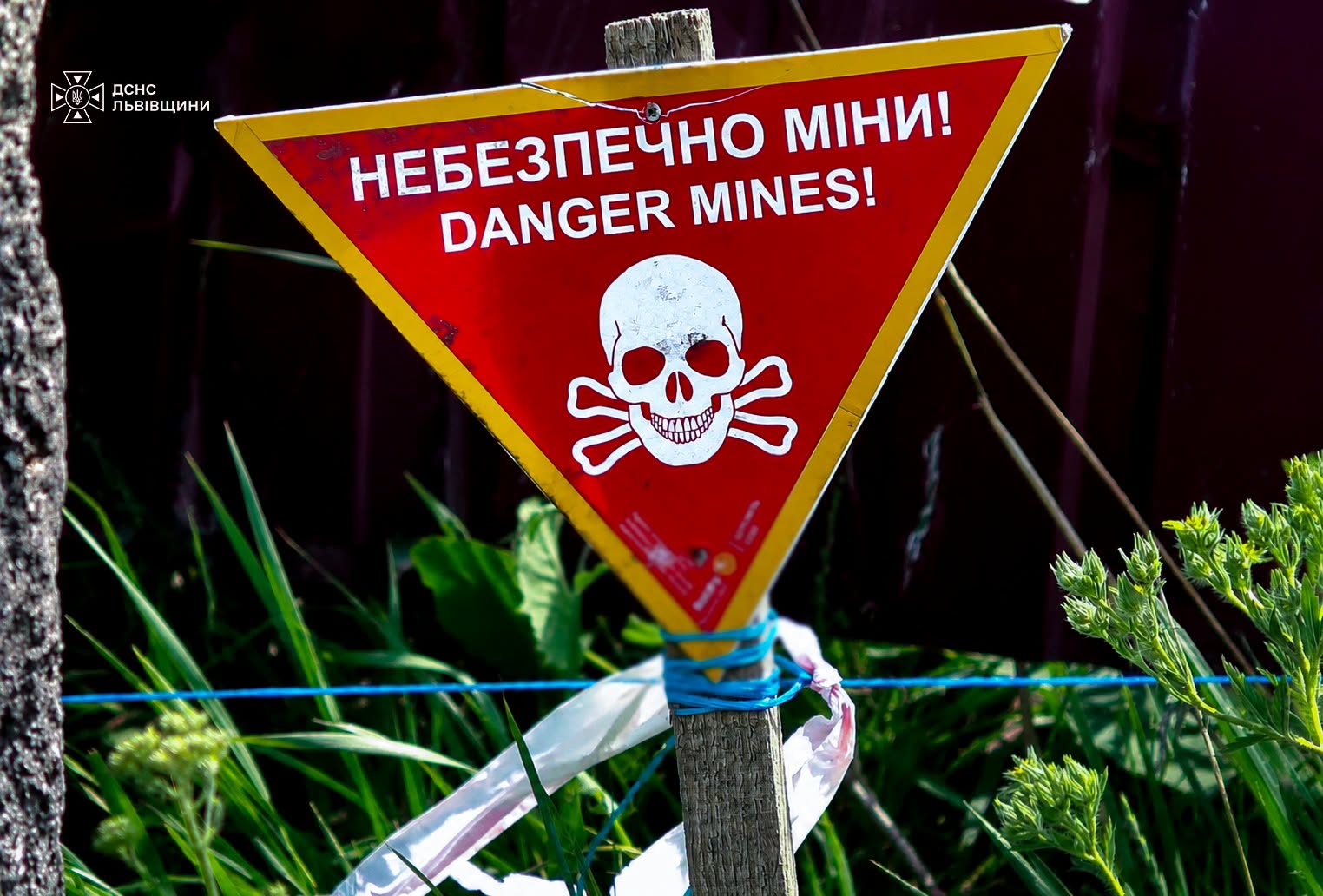 На Львівщині випадково знайшли смертельно небезпечну знахідку: що відомо