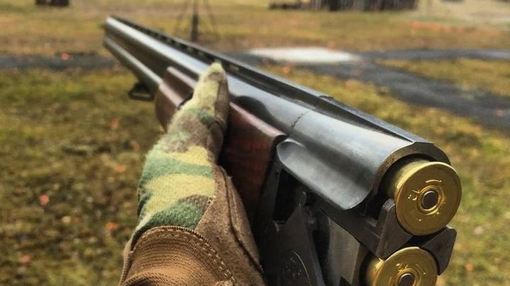 За вбивство лося браконьєра із Дрогобича оштрафували на понад 18 тис. гривень
