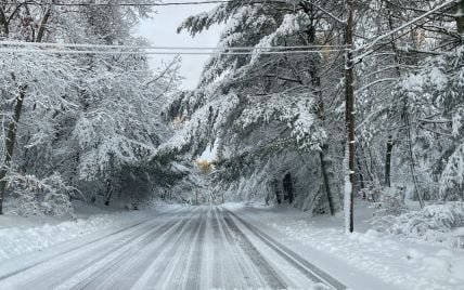 На Прикарпатті через негоду впало 10 електроопор
