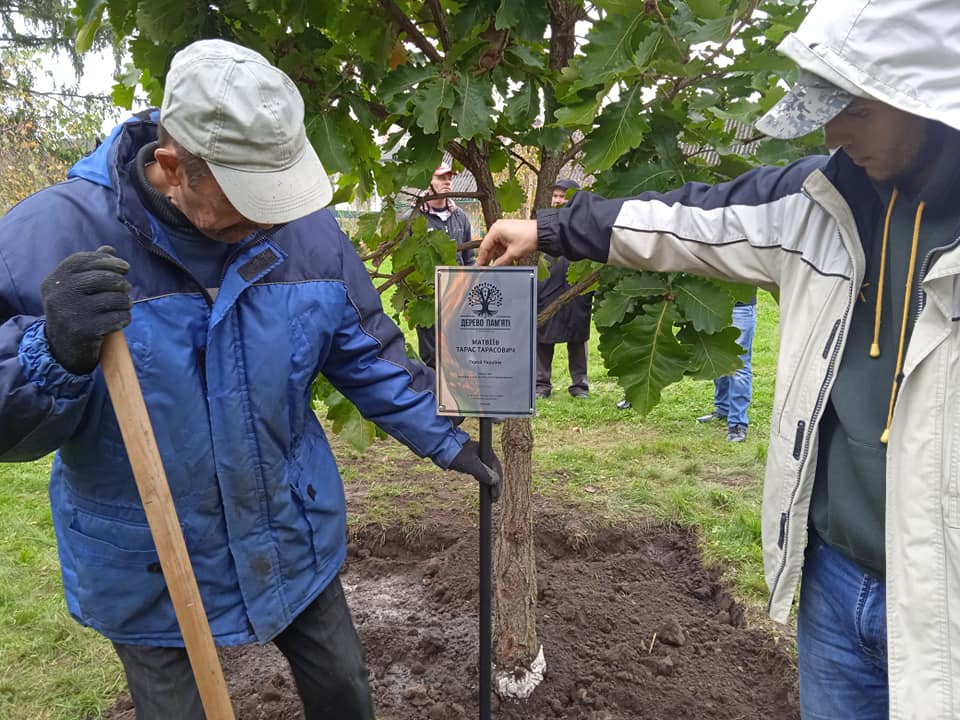 Дерево пам’яті Героя України Тараса Матвіїва висадили у його рідному Жидачеві