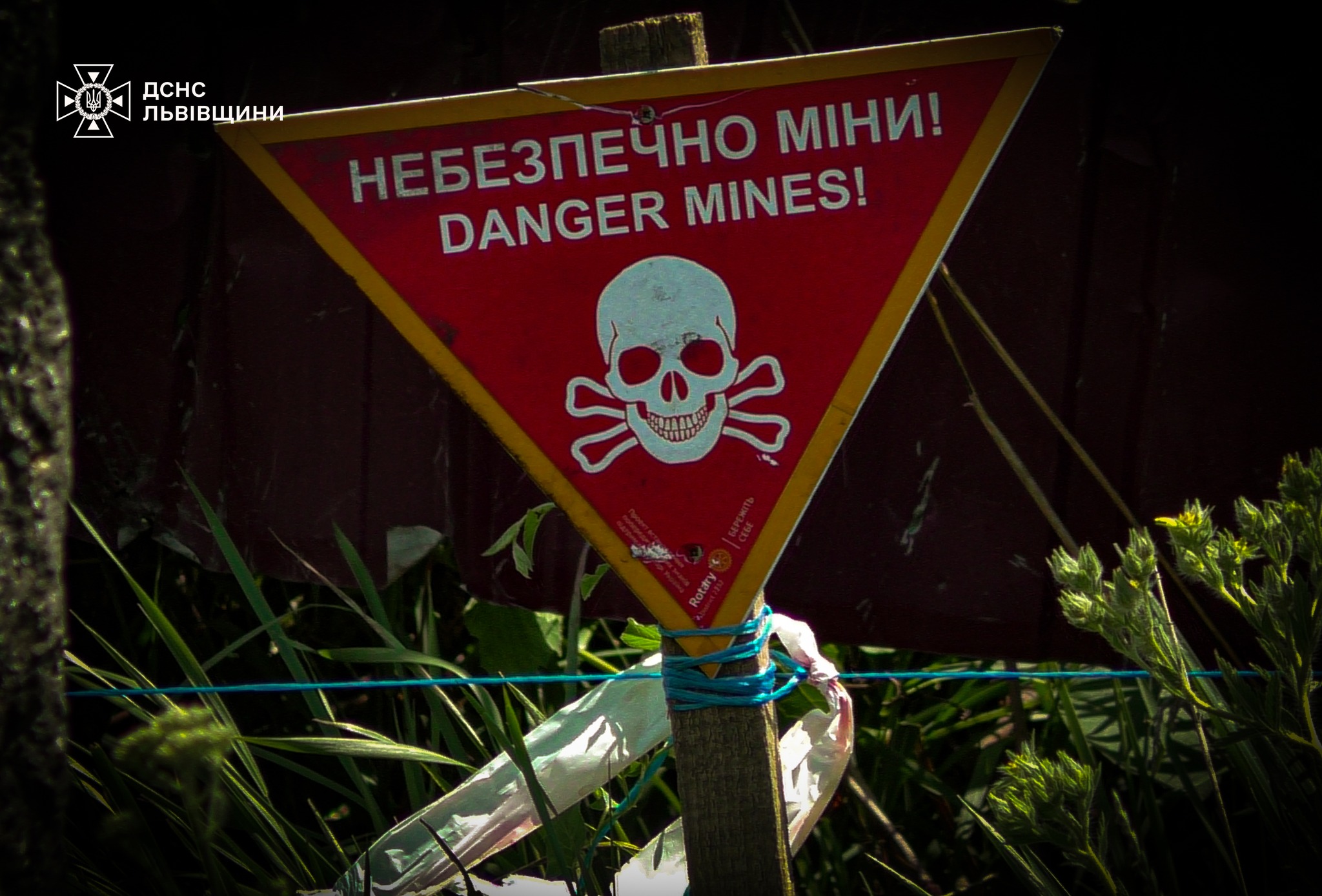 Знайшли в полі та лісі: на Львівщині знищили снаряд і міну часів Другої світової війни