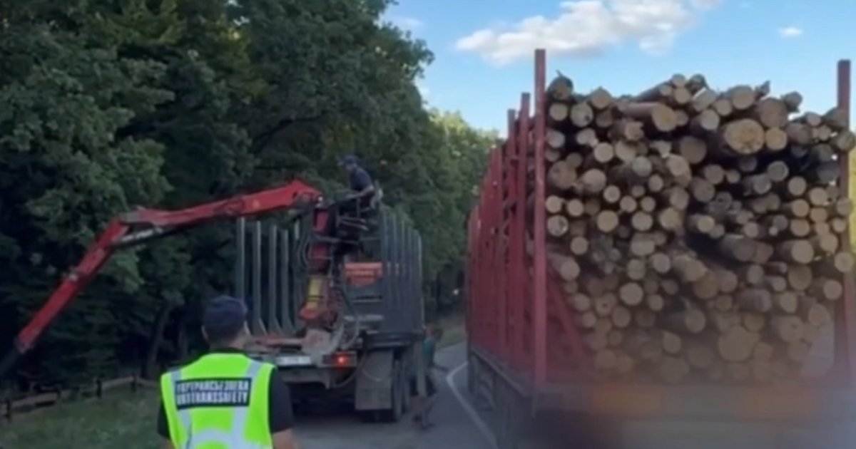 На Львівщині зупинили перевантажену вантажівку з деревиною: водія оштрафували (відео)