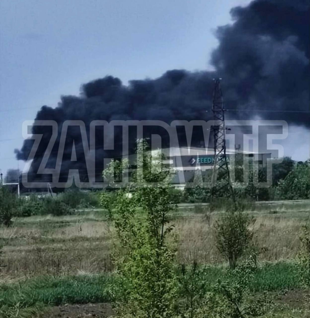 На Львівщині горить підприємство: З'явилося відео