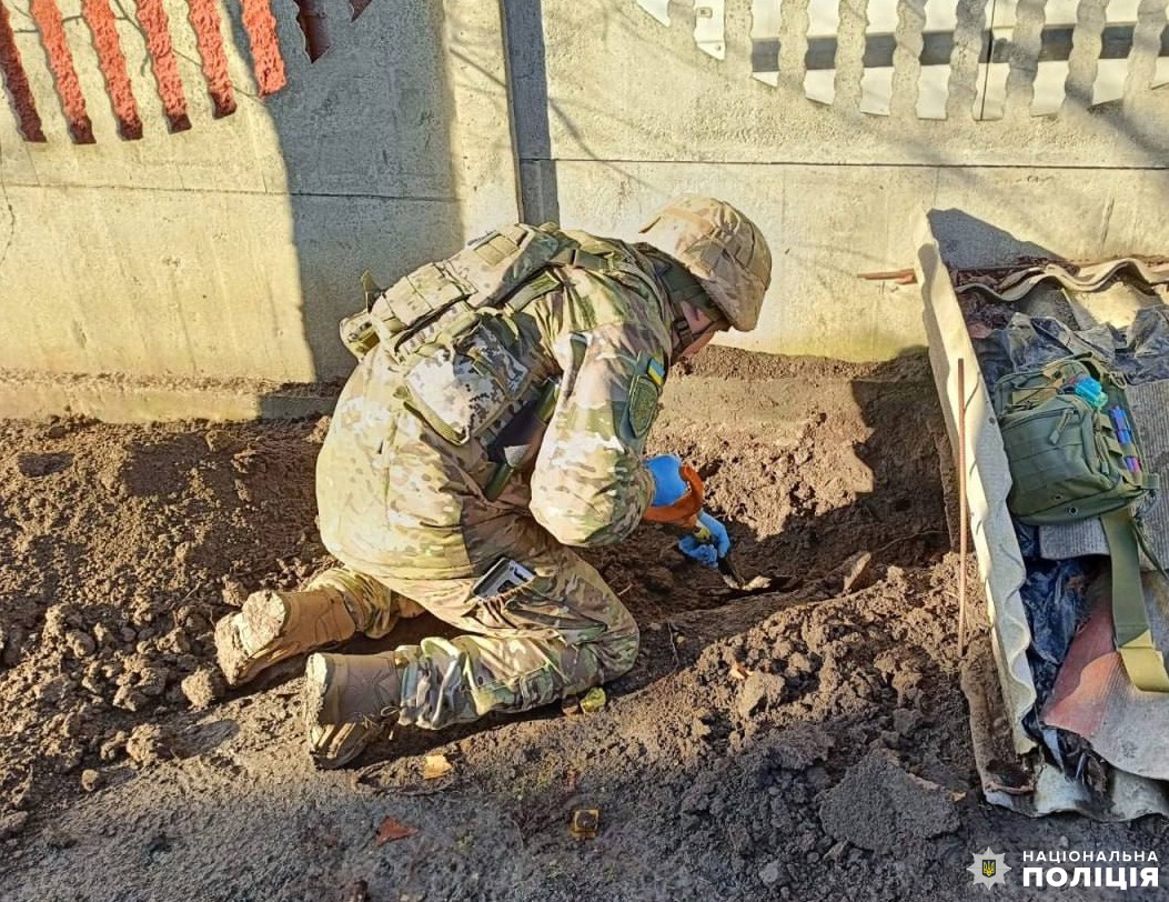 На Рівненщині собака знайшов 34 кг вибухівки на присадибній ділянці