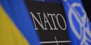 Парламентська асамблея НАТО закликала дозволити Україні бити західною зброєю по цілях в РФ