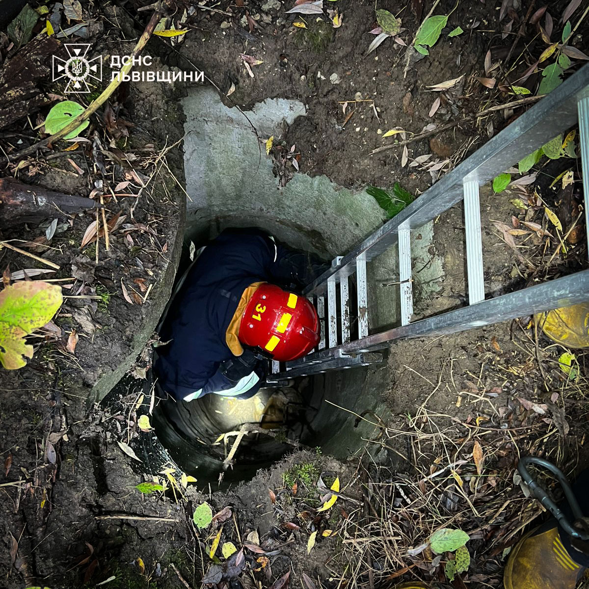 У Львові надзвичайники врятували собаку