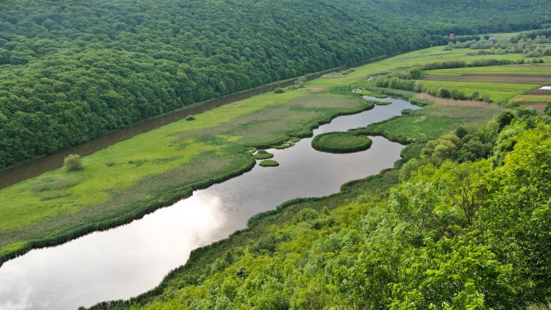Найсильніший землетрус в Україні. Вранці потрусило Тернопільщину