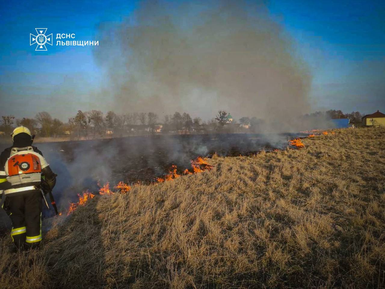 На Львівщині за минулу добу сталося близько 150 пожеж в екосистемах: гинуть безневинні тварини (фото)