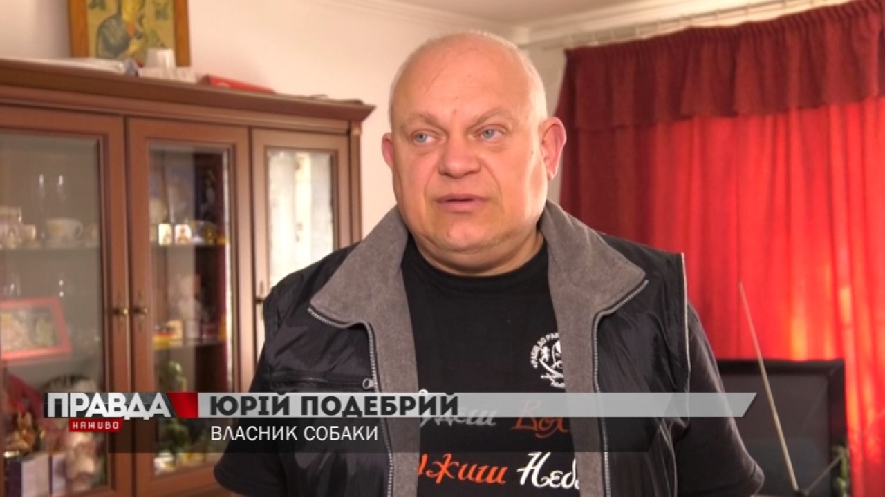 У Львові продовжують пошуки собаки - військового