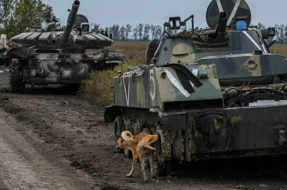 Ліквідували майже 800 окупантів, знищили 12 танків. Оновлені дані про втрати ворога